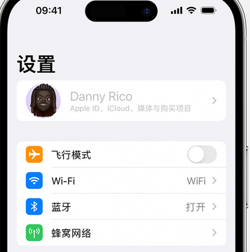 八步appleID维修服务iPhone设置中Apple ID显示为灰色无法使用