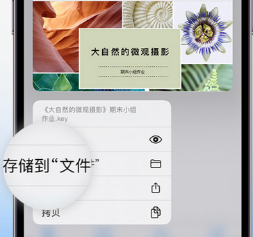 八步apple维修中心分享iPhone文件应用中存储和找到下载文件