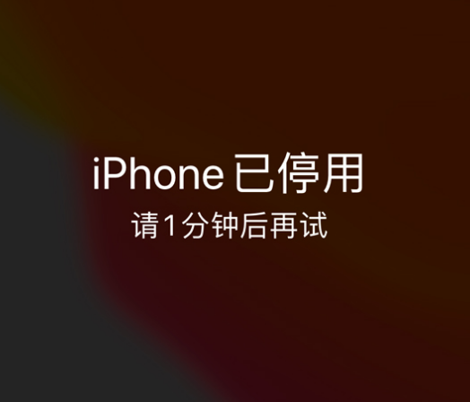 八步苹果手机维修分享:iPhone 显示“不可用”或“已停用”怎么办？还能保留数据吗？ 