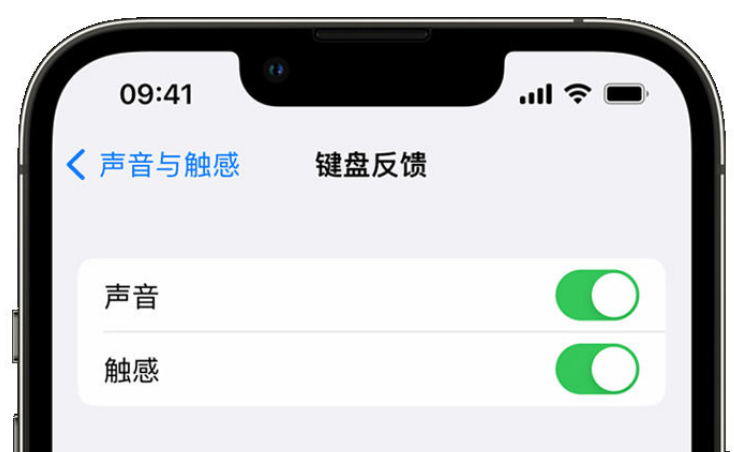 八步苹果手机维修分享iPhone 14触感键盘使用方法 