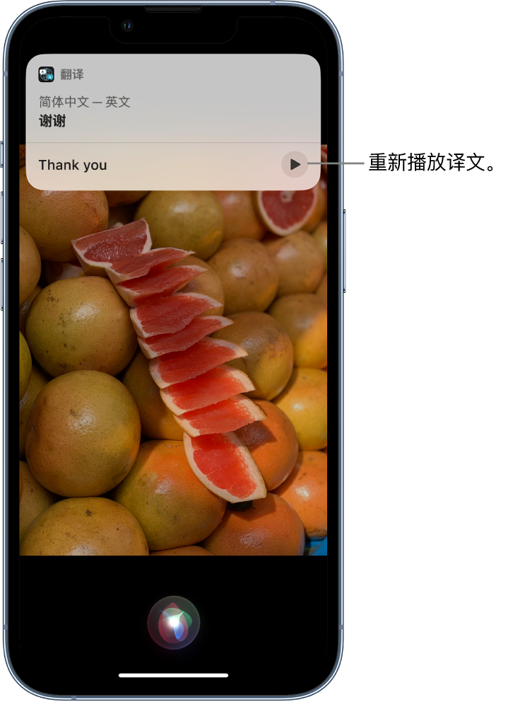 八步苹果14维修分享 iPhone 14 机型中使用 Siri：了解 Siri 能帮你做什么 