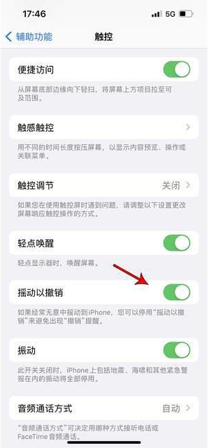 八步苹果手机维修分享iPhone手机如何设置摇一摇删除文字 